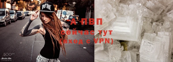 крисы Нефтекумск
