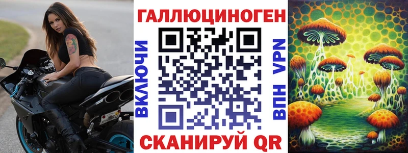 закладки  Солнечногорск  Псилоцибиновые грибы Psilocybe 