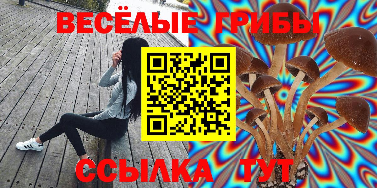 Солнечногорск  Псилоцибиновые грибы GOLDEN TEACHER  Вход с VPN 