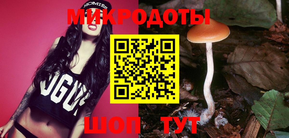 Псилоцибиновые грибы мухоморы Солнечногорск
